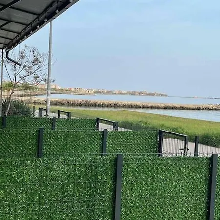 Aliara Dilara Pomorie