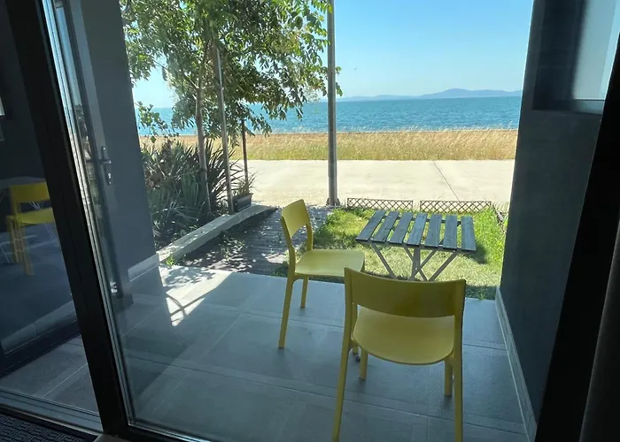 Aliara Dilara ポモリエ