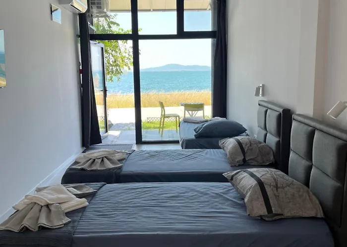 Aliara Dilara * ポモリエ